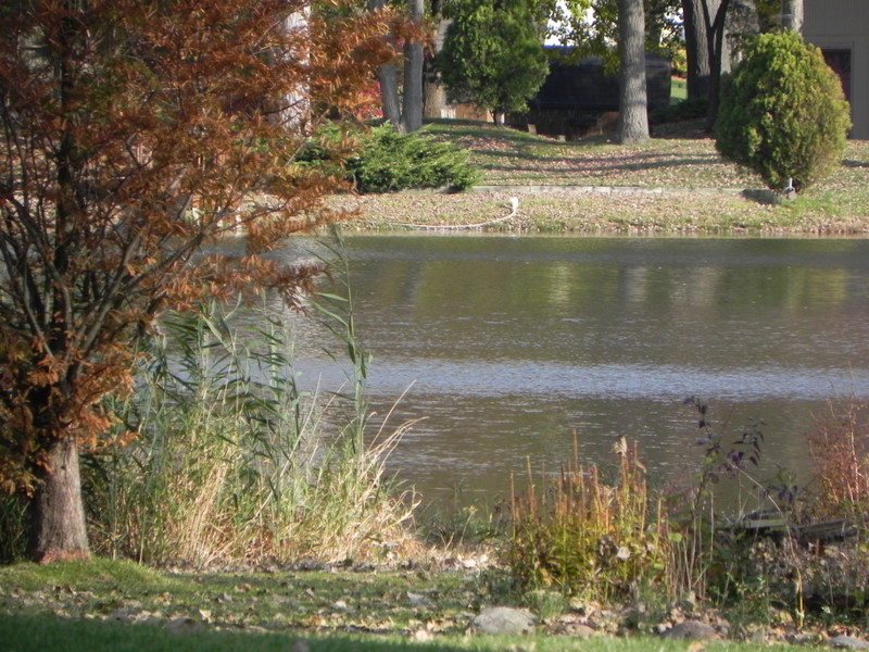 Charlick Lake Highland MI