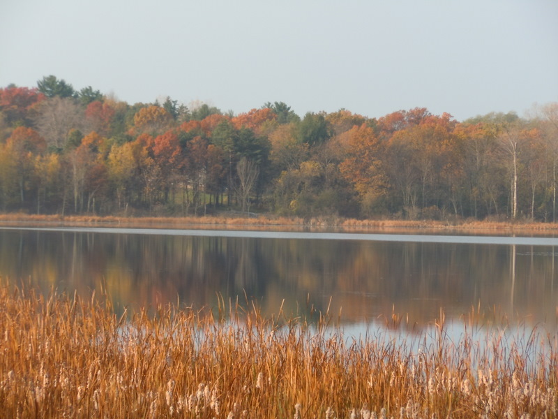 Judah Lake Orion Township Michigan