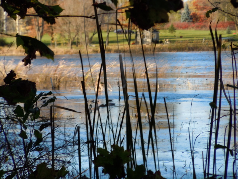 crosby lake oakland county mi