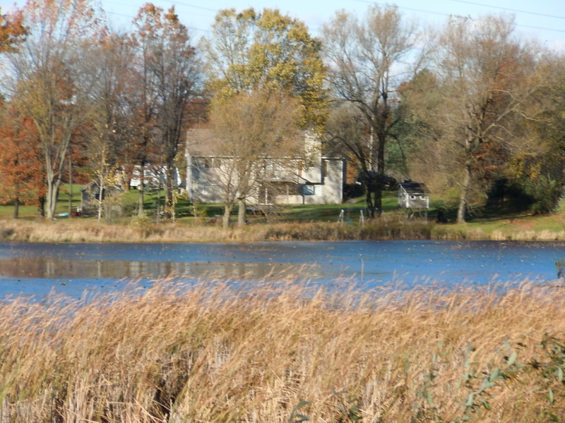waterfront homes crosby lake spingfield township mik
