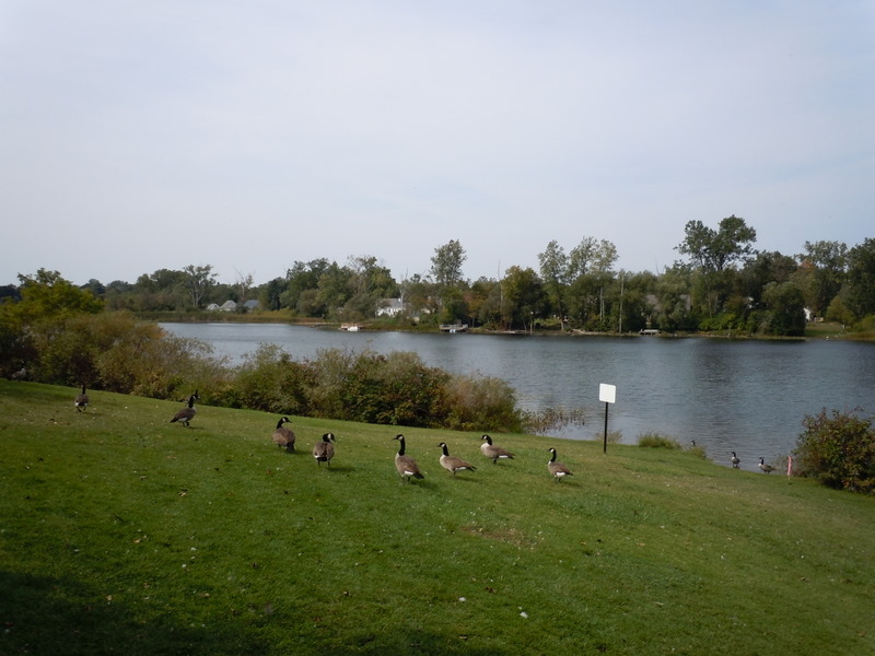 crystal lake oakland county mi