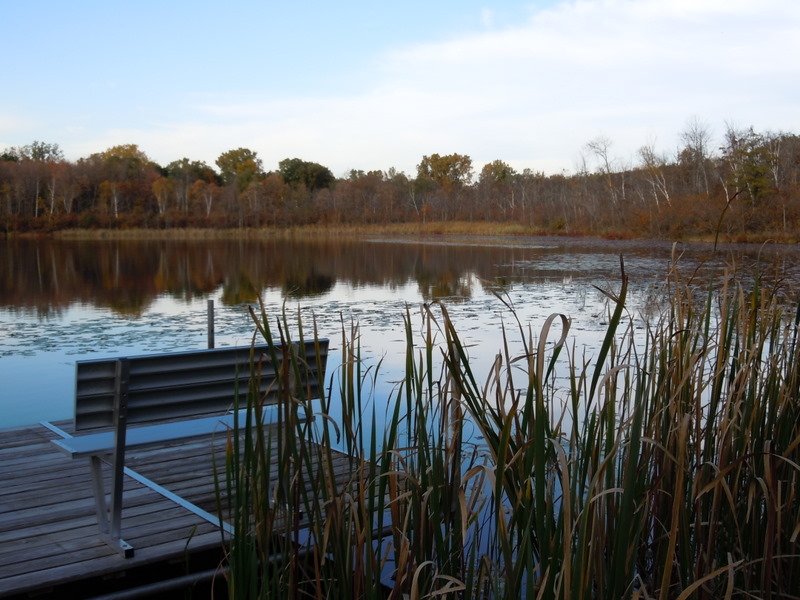 waterfront homes darb lake west bloomfield township mi