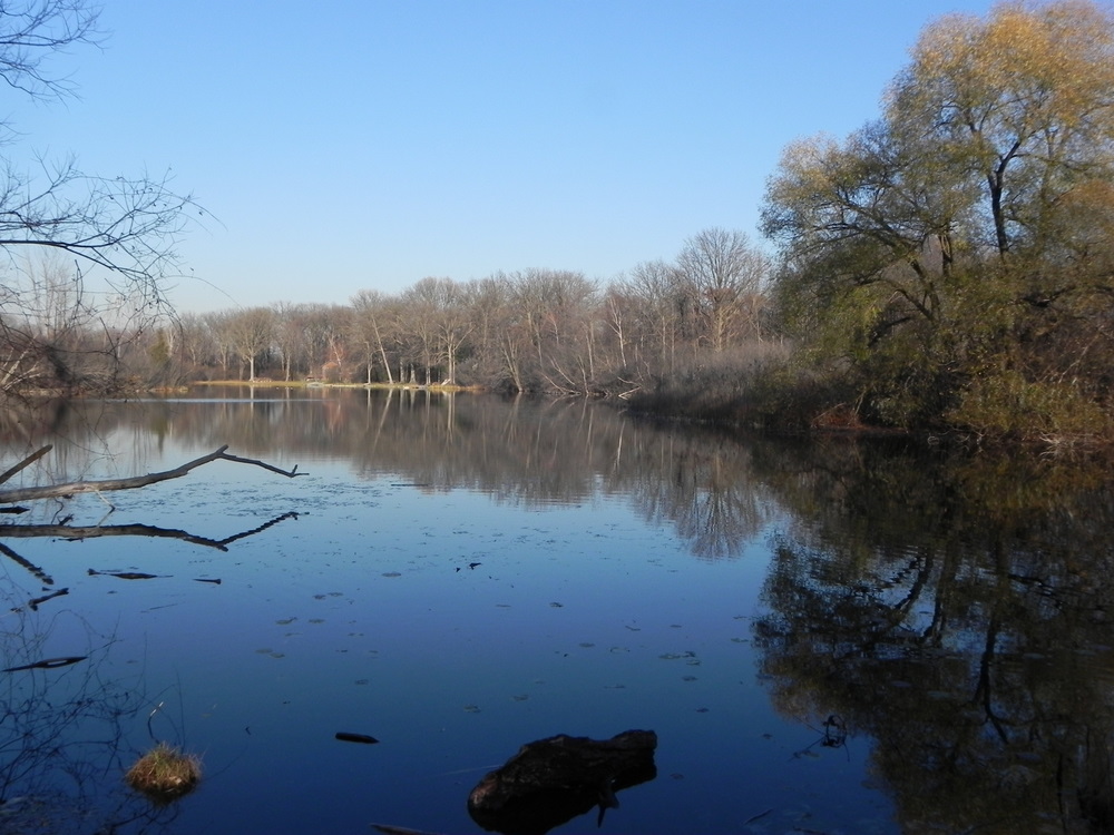 fiddle lake waterford township mi