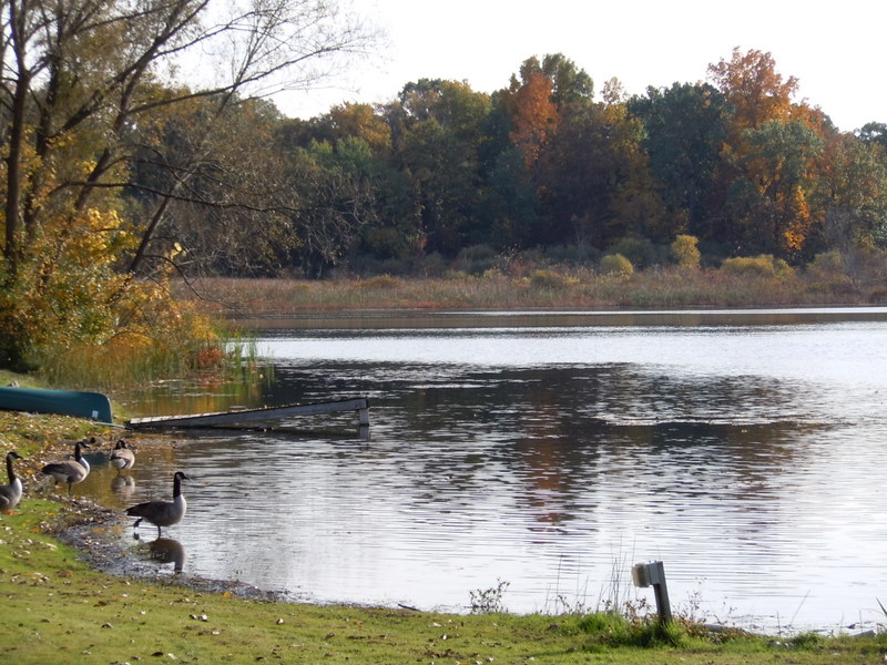 waterfront homes flanders lake west bloomfield township mi