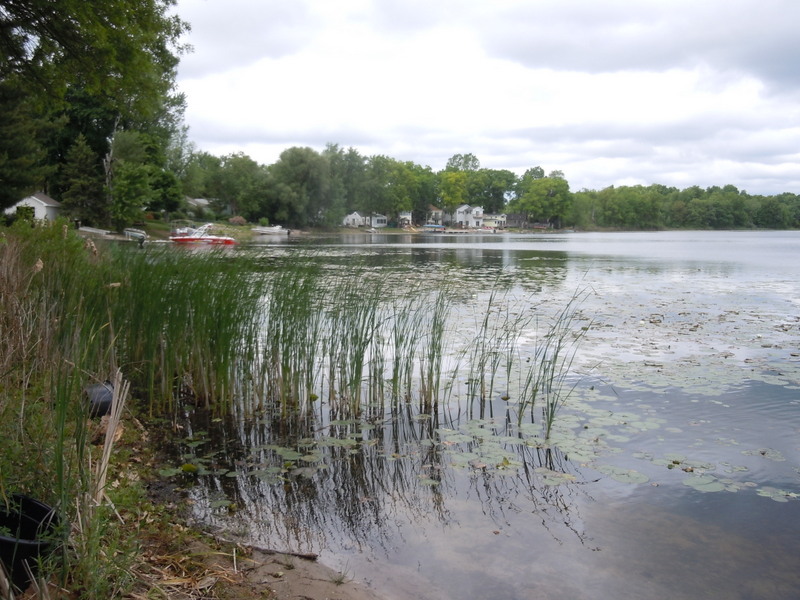 grass lake white lake township mi