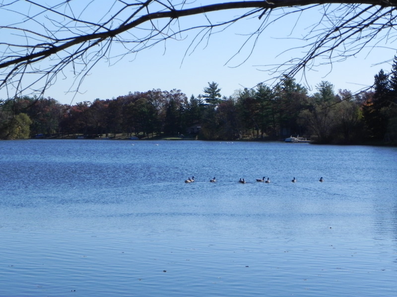 indianwood lake oakland county mi