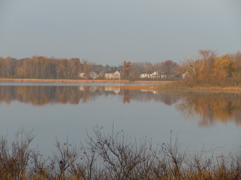 Judah Lake Oakland County Michigan