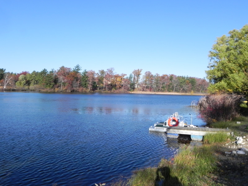 little cedar lake orion township michigan