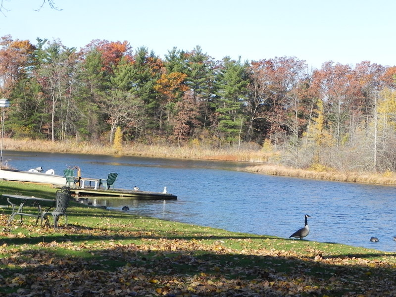 little cedar lake oakland county michigan