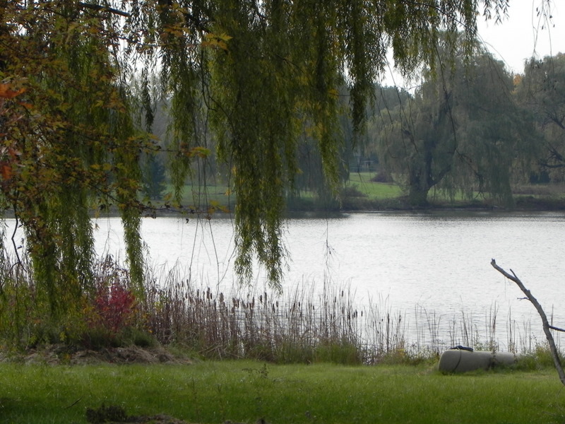 mill lake orion township michigan