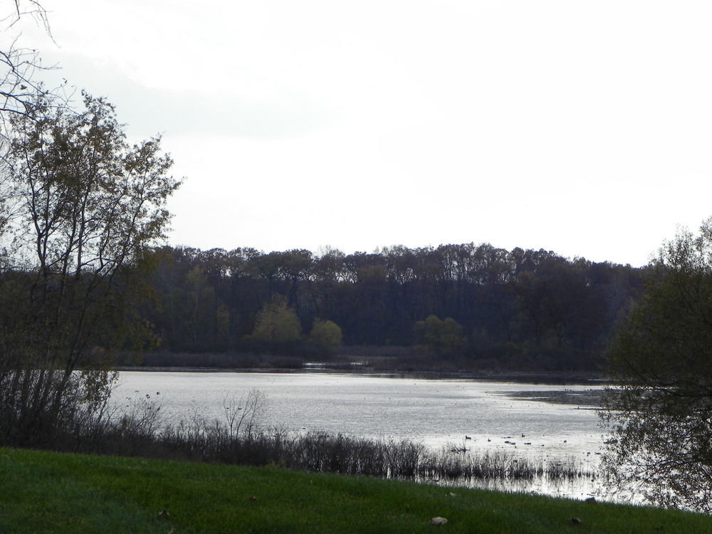 murray lake highland township michigan