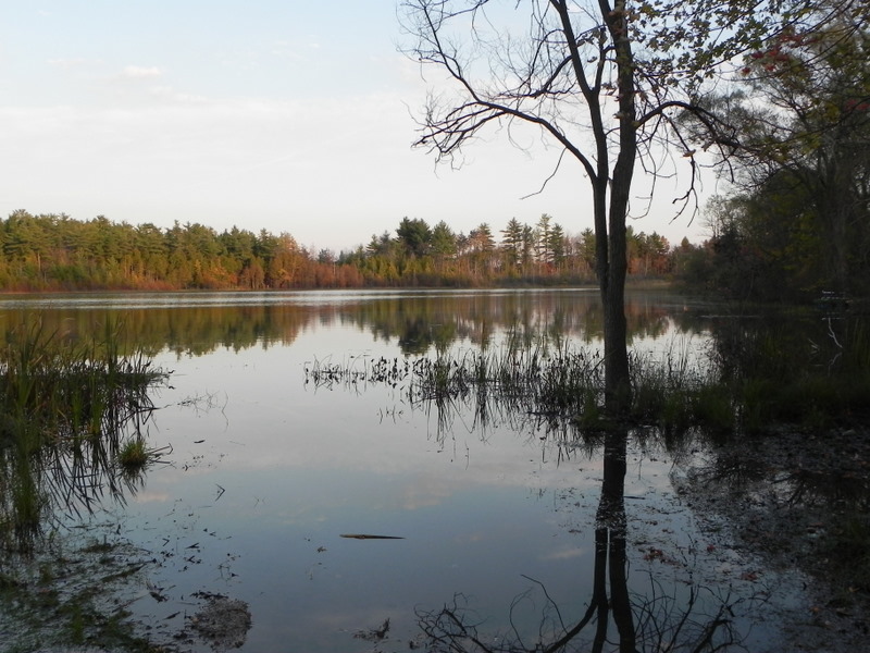 Bridge Lake Clarkston Michigan