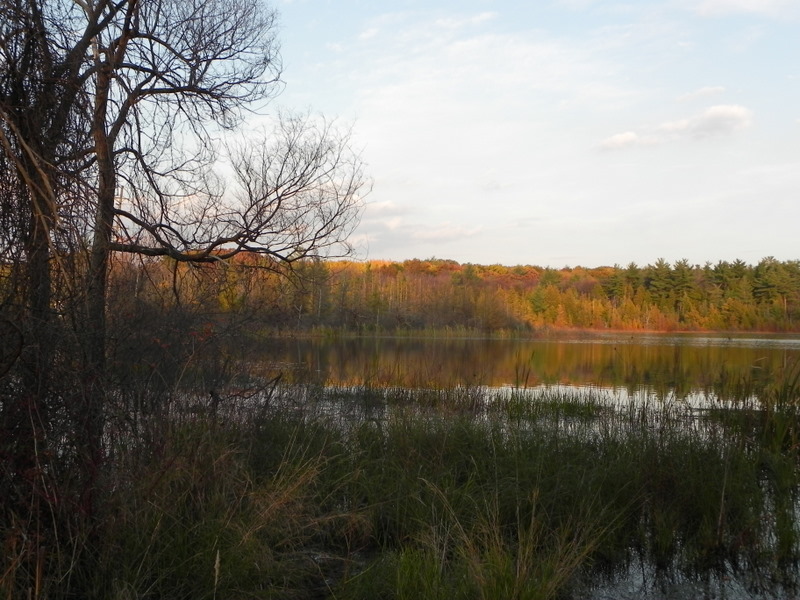 Bridge Lake Oakland County Michigan