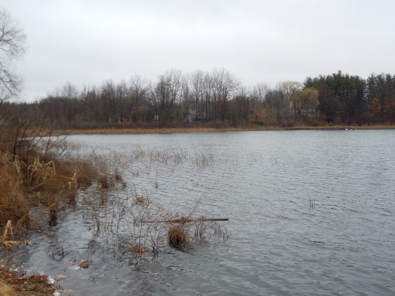 stison lake oakland county michigan