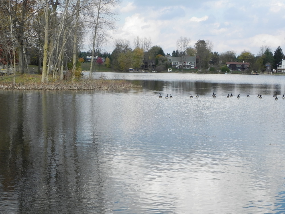 taggett lake oakland county michigan