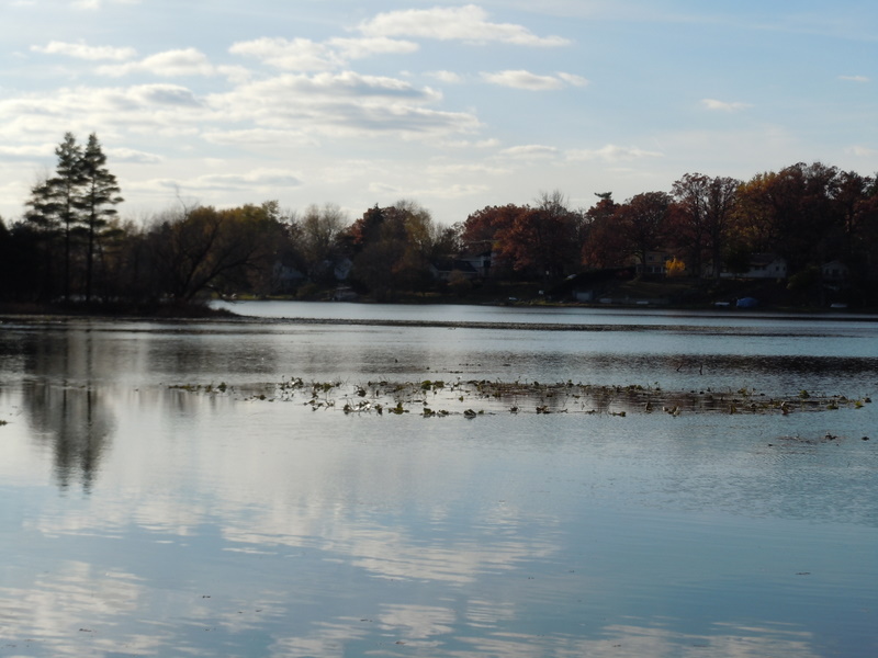 tommys lake oakland county michigan