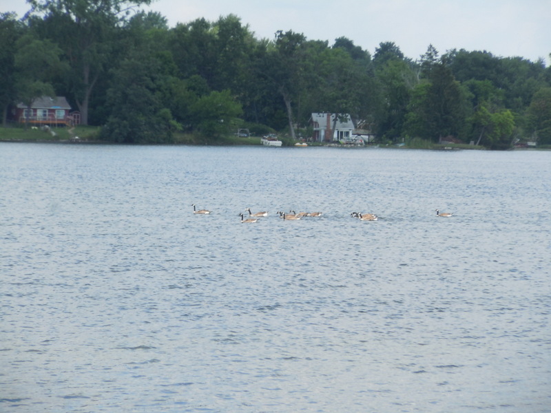 woodhull lake independence township michigan