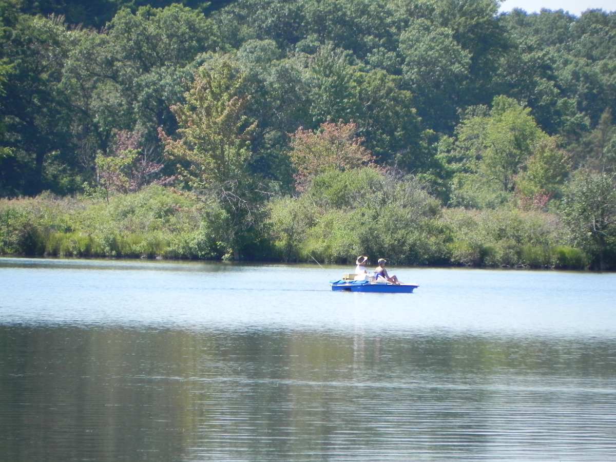 Bass Lake Hamburg Township MI