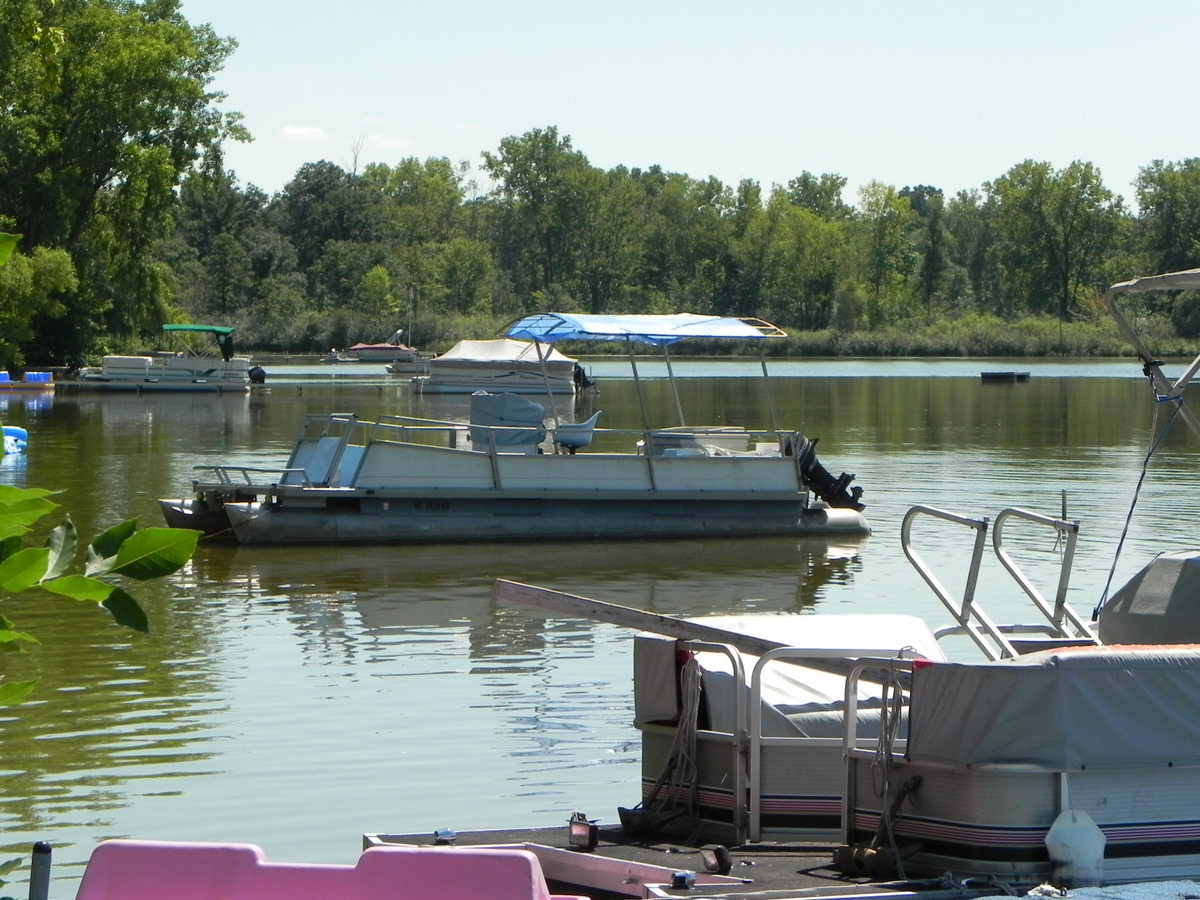 Bass Lake homes Hamburg MI