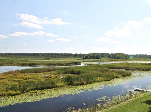 Bennett Lake Deerfield MI