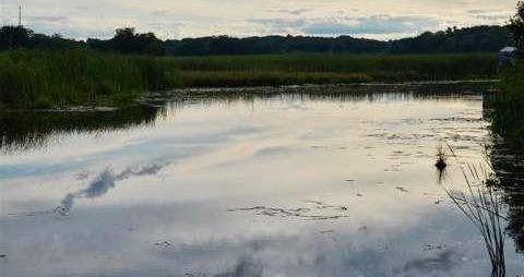 Bennett Lake Fenton MI