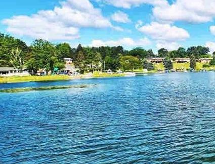 Homes for sale Marl Lake Livingston County MI