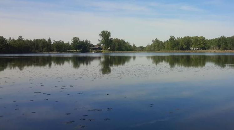 Seymour Lake Ortonville MI