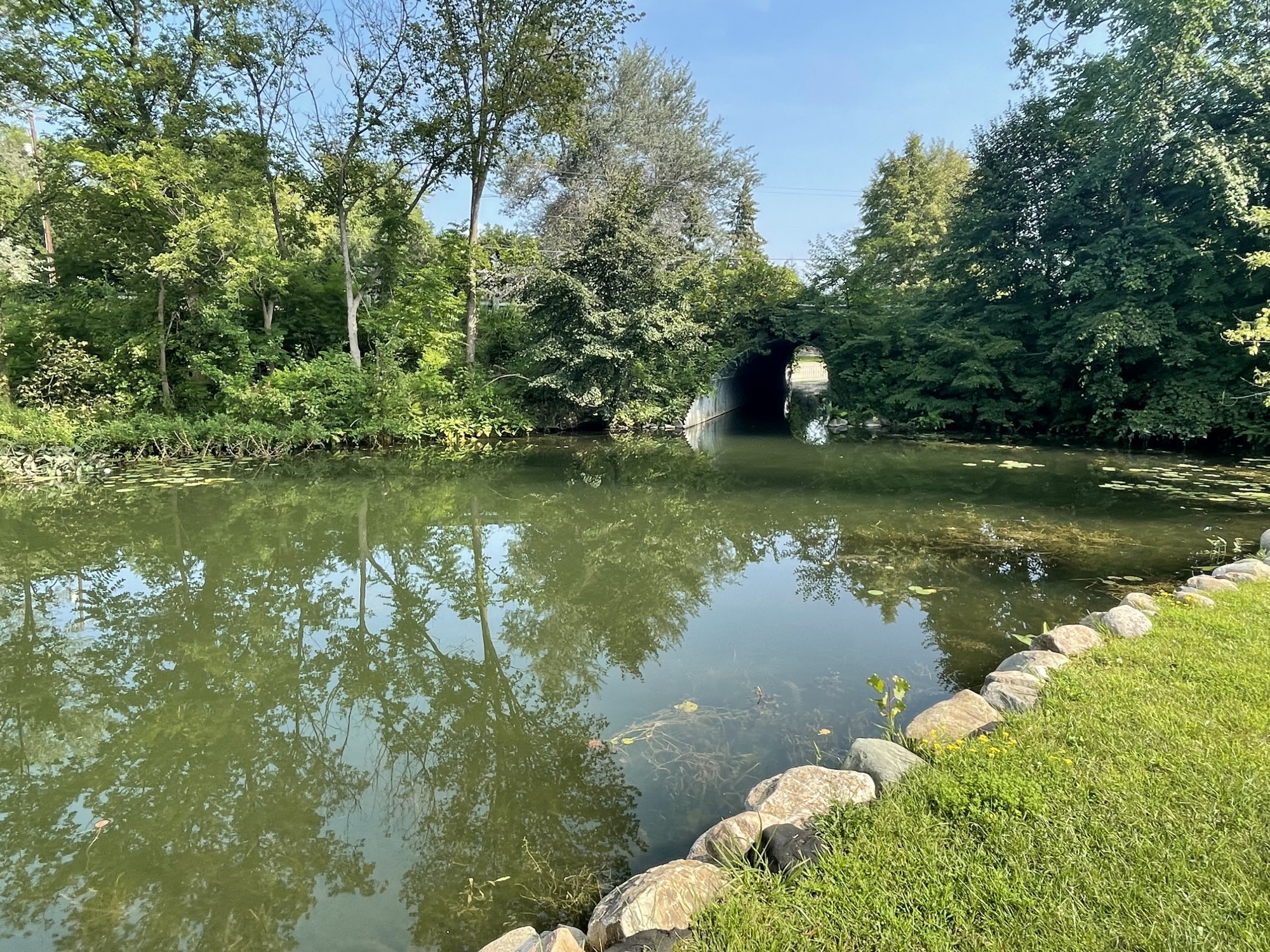 Marl Lake Genessee County MI