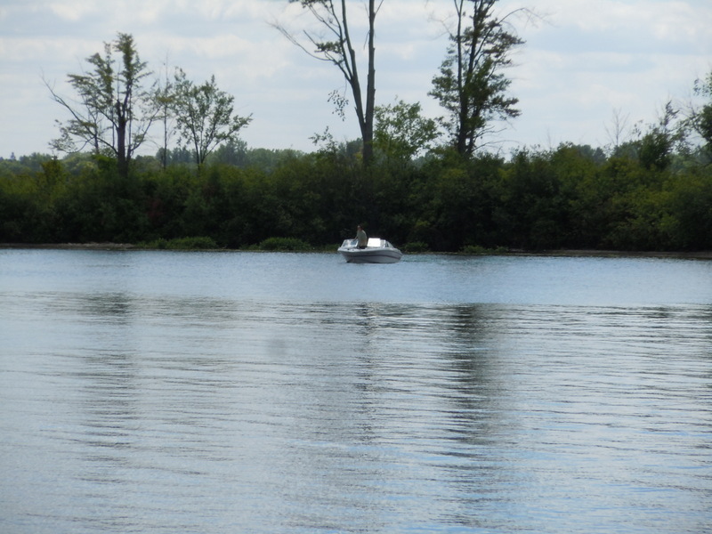 Lake Ponemah homes Fenton MI