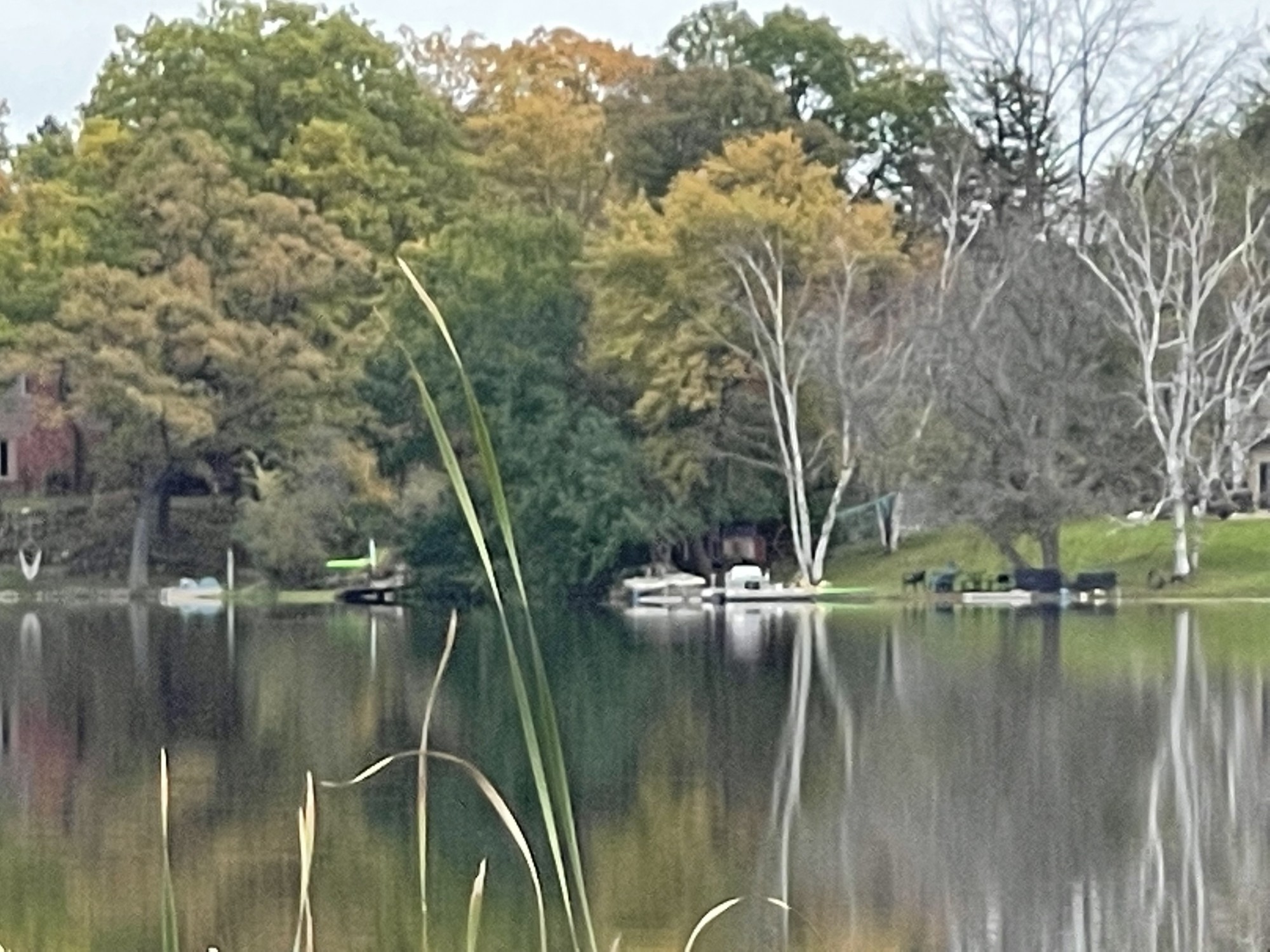 Cranberry Lake Clarkston