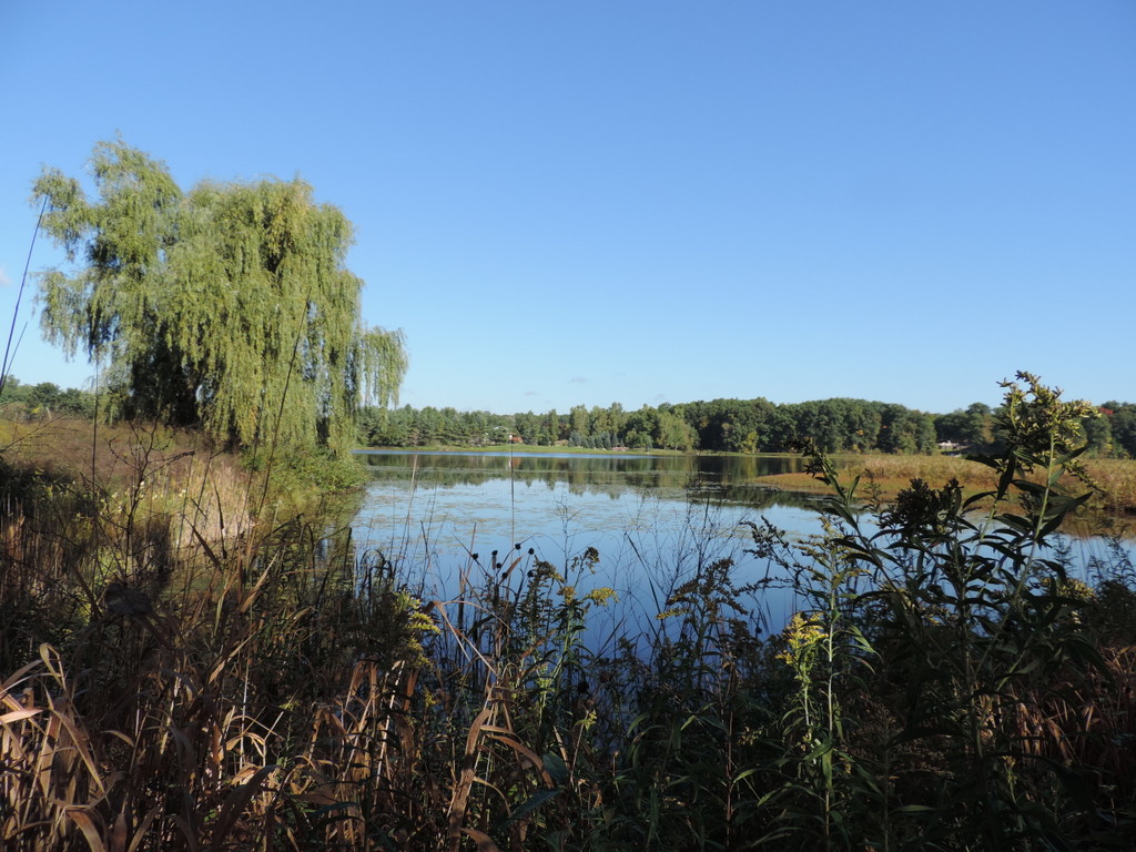 Huff Lake Ortonville MI
