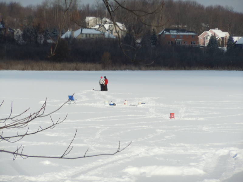 Woodland Lake homes Brighton MI