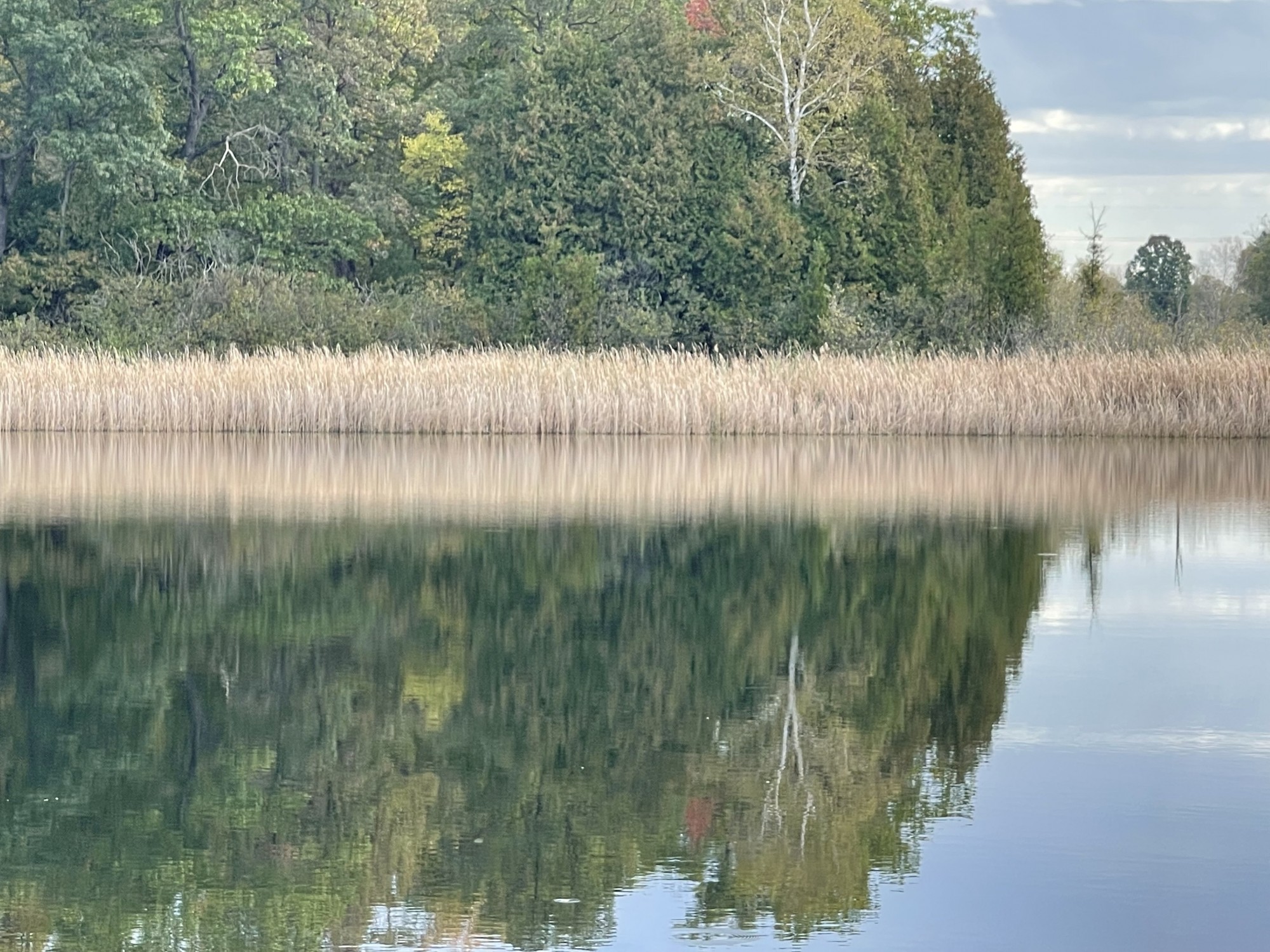 Davis Lake Oxford MI