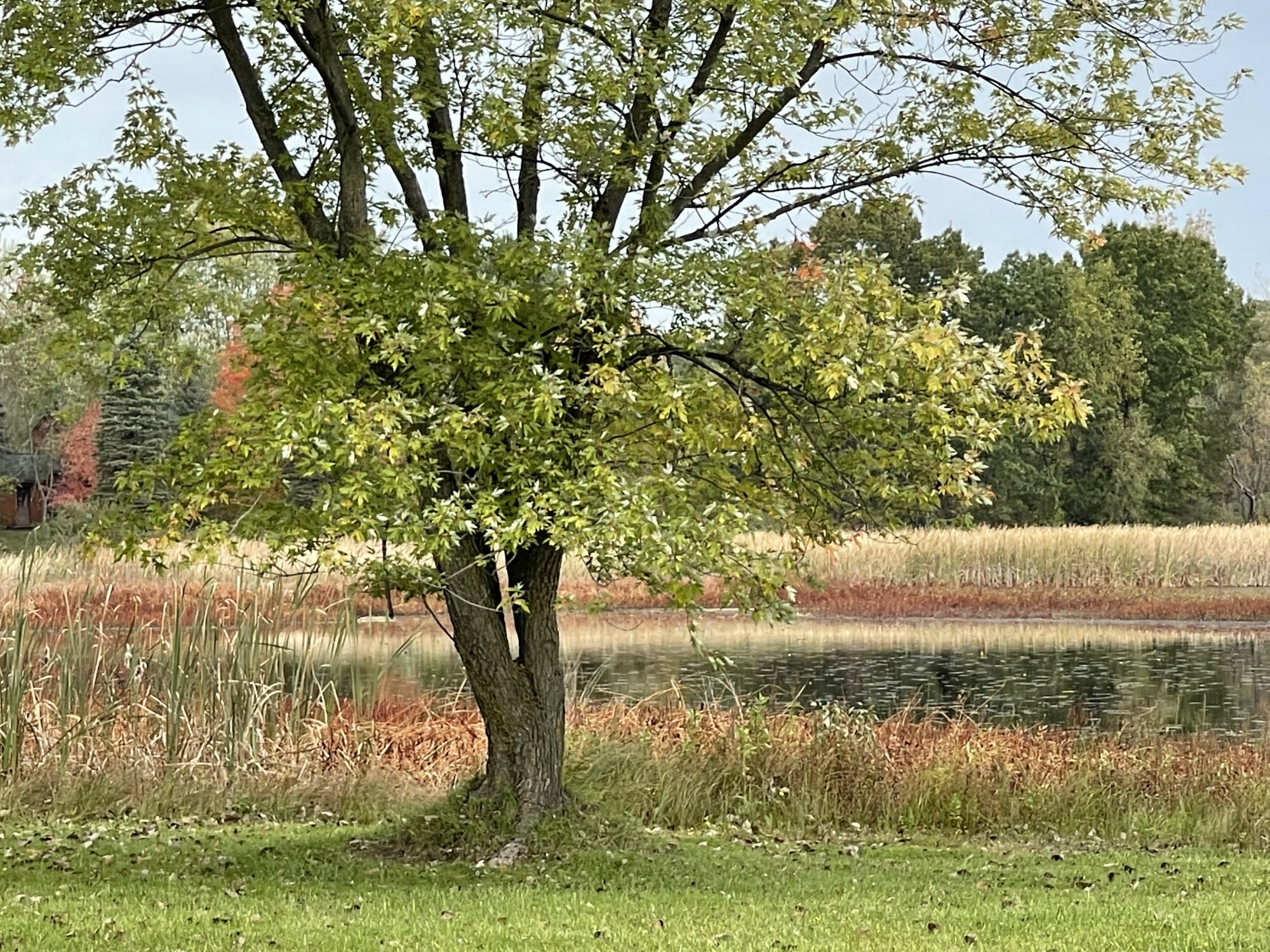 Homes for sale Huff Lake Brandon MI