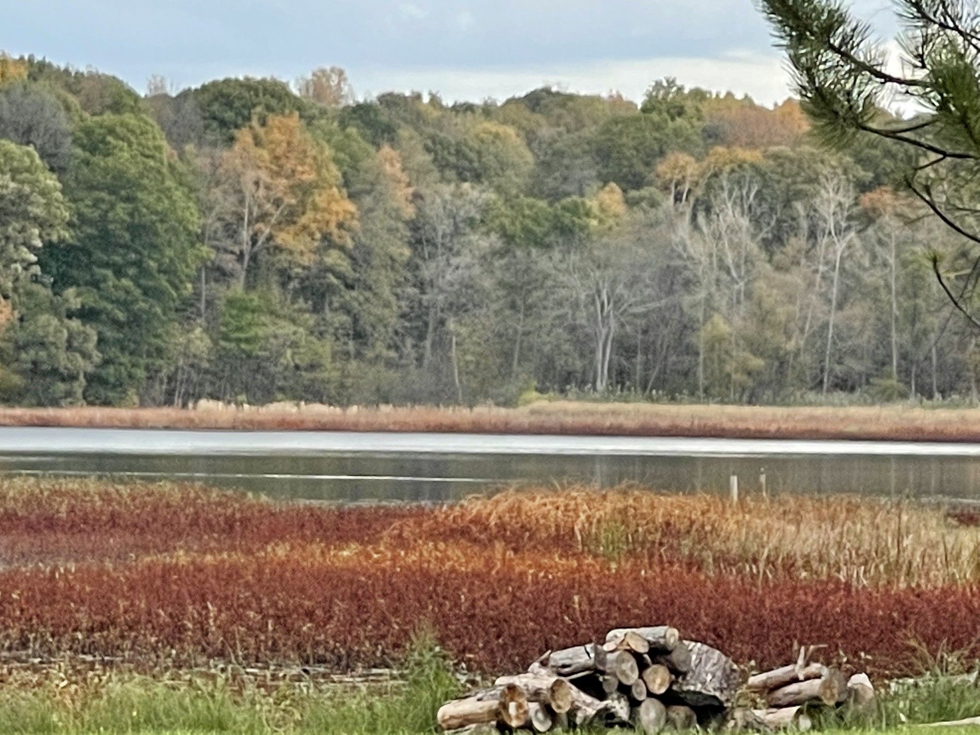 Huff Lake Brandon MI