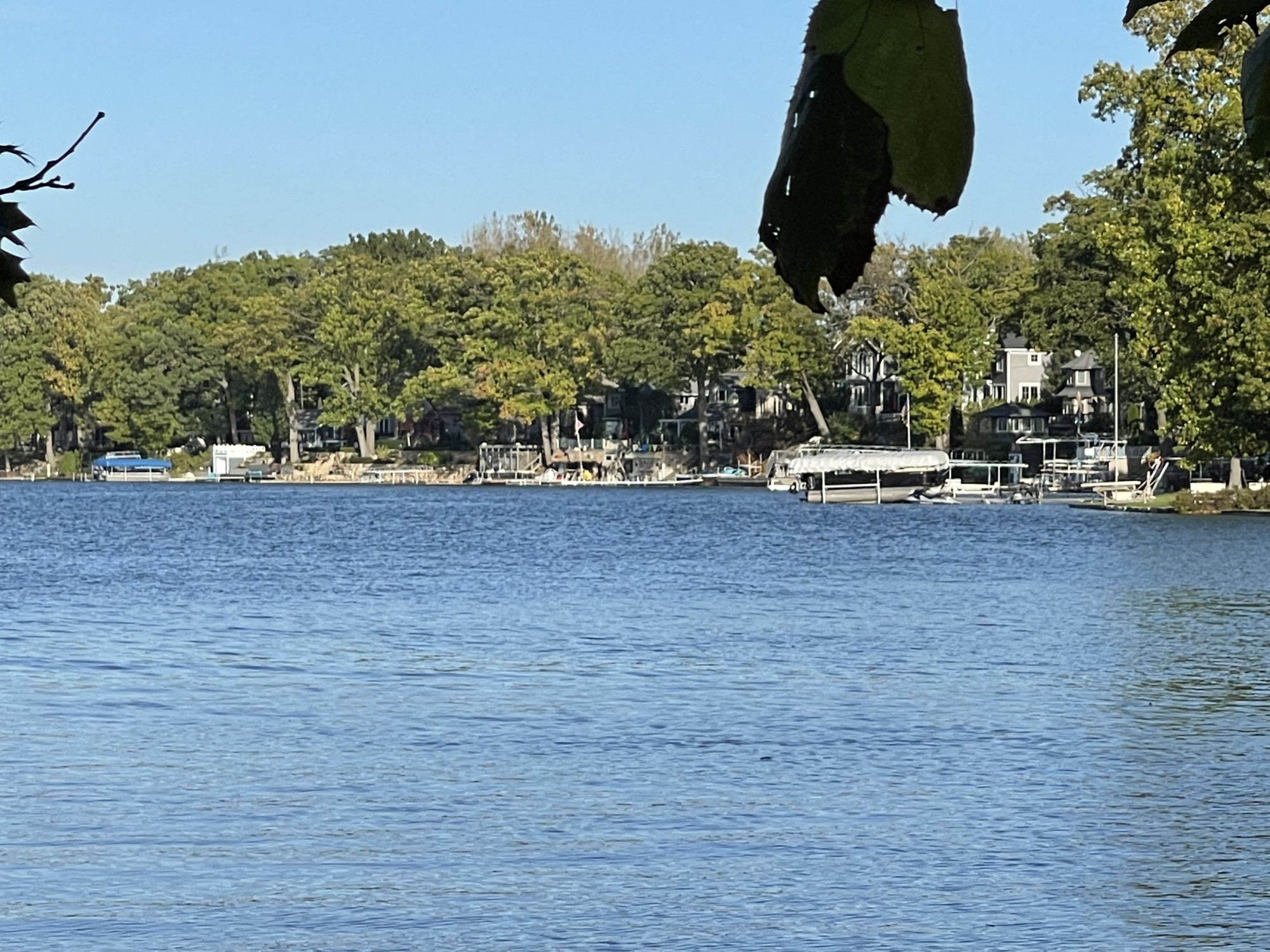 Lake Fenton homes Fenton Township Michigan