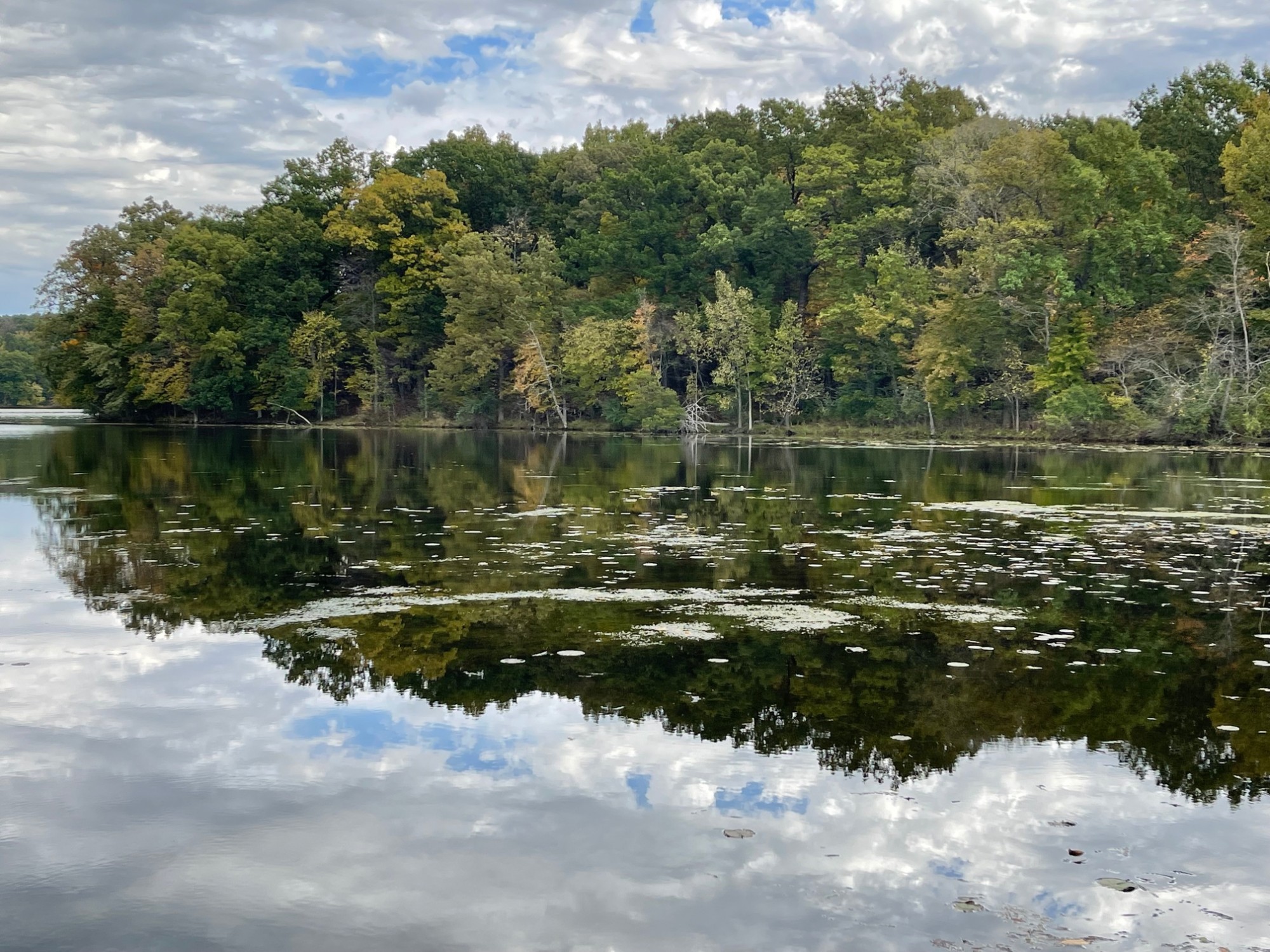 Lake Louise homes Ortonville MI