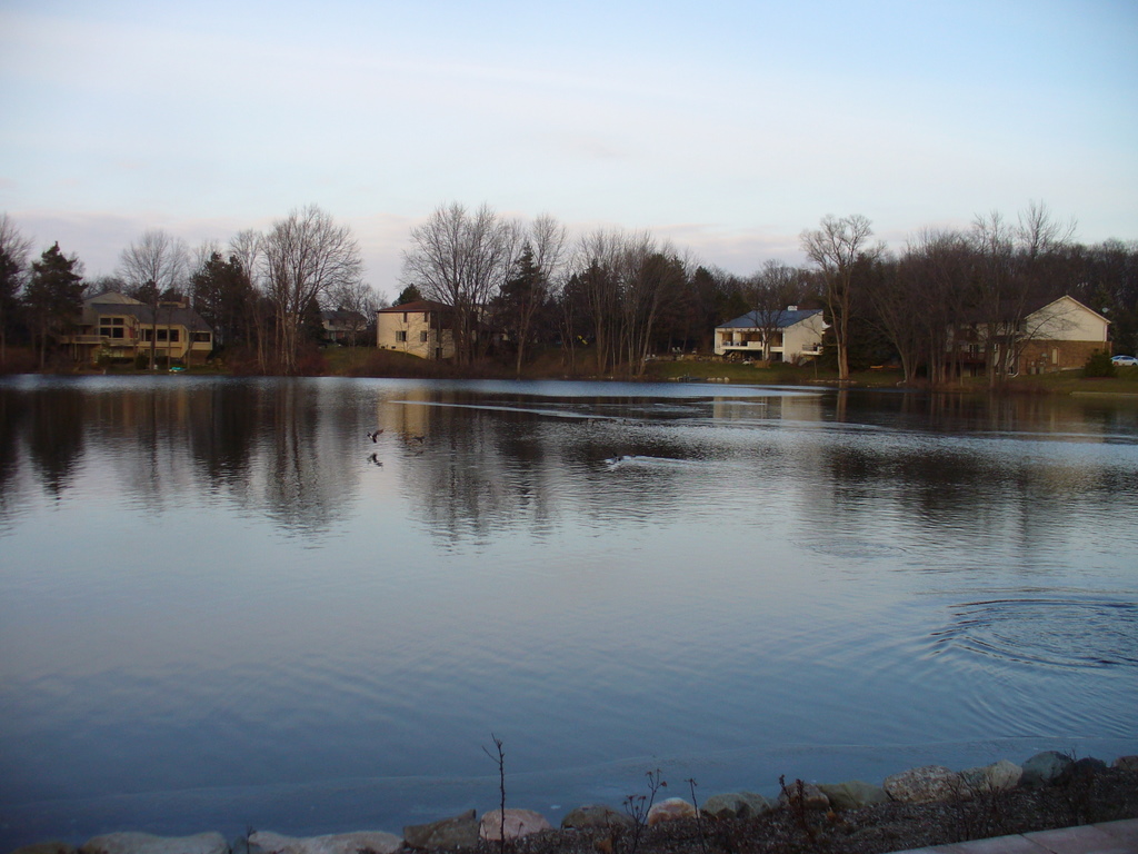 West Bloomfield Lake West Bloomfield MI