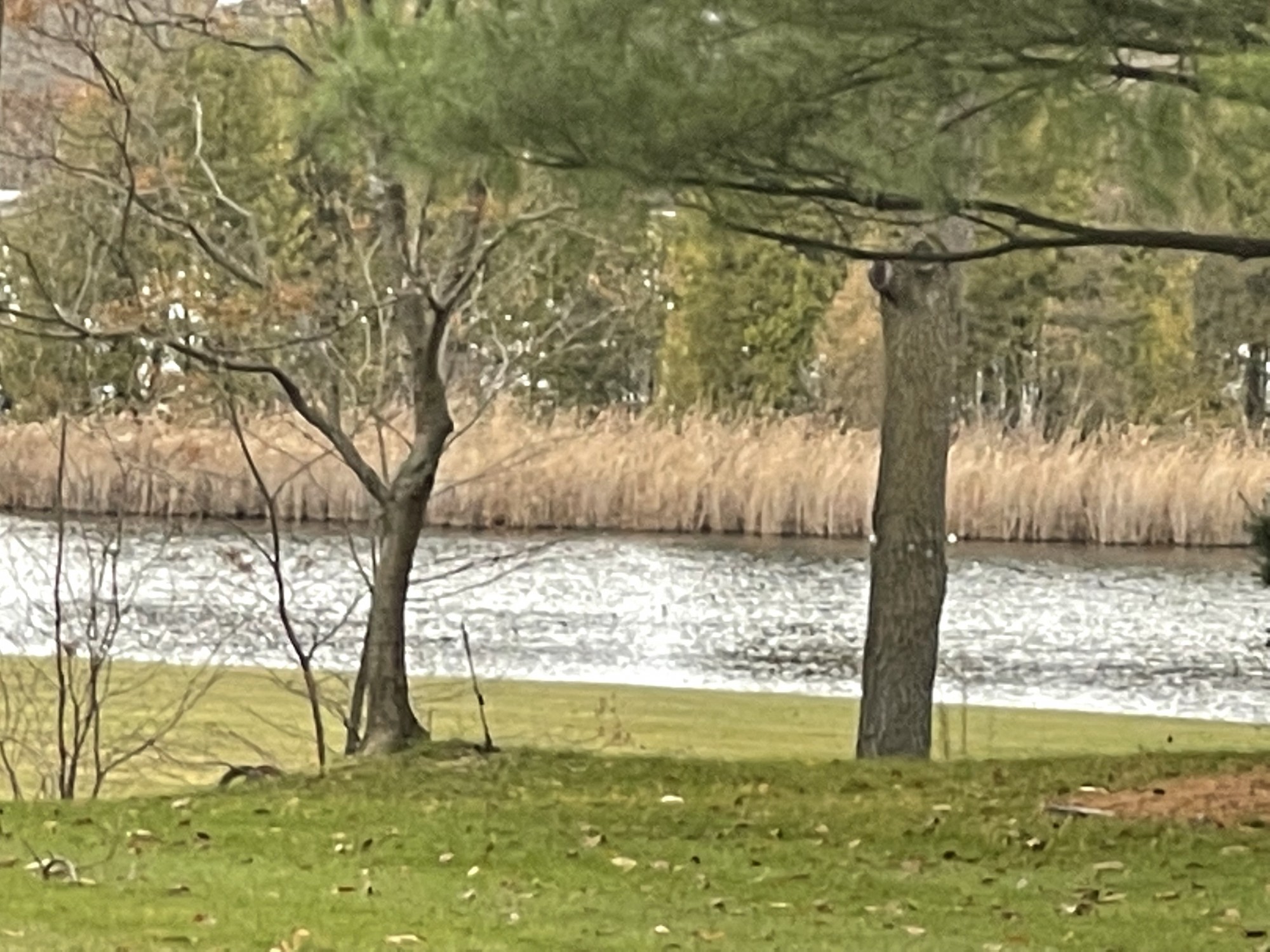 Parke Lake Independence Township MI