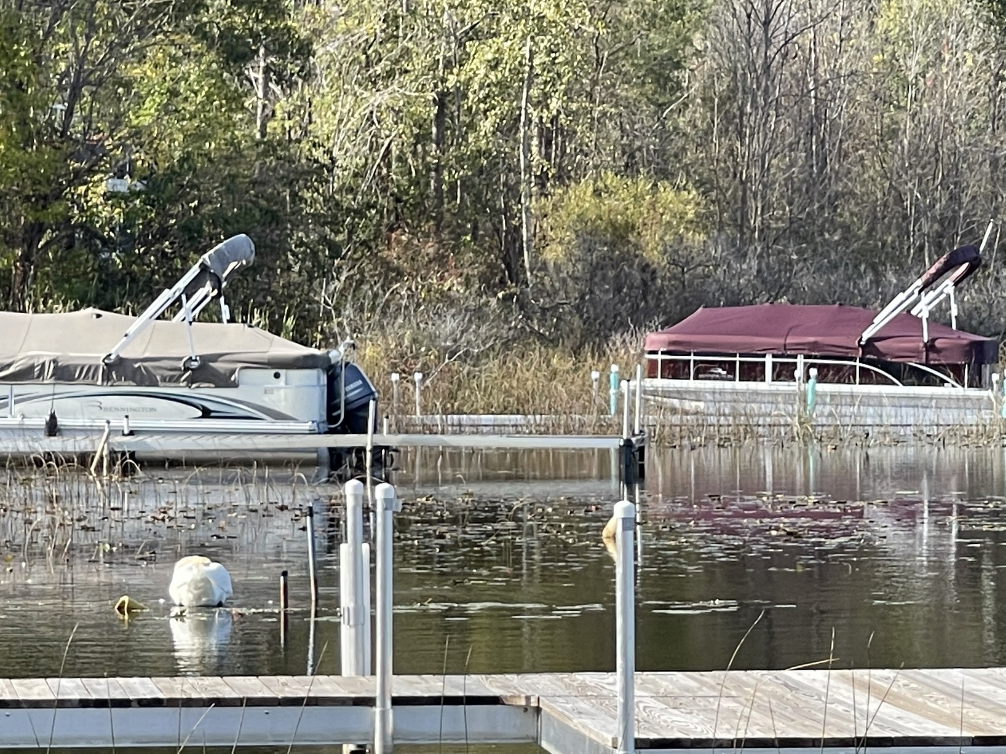 Pine Lake Fenton Township MI