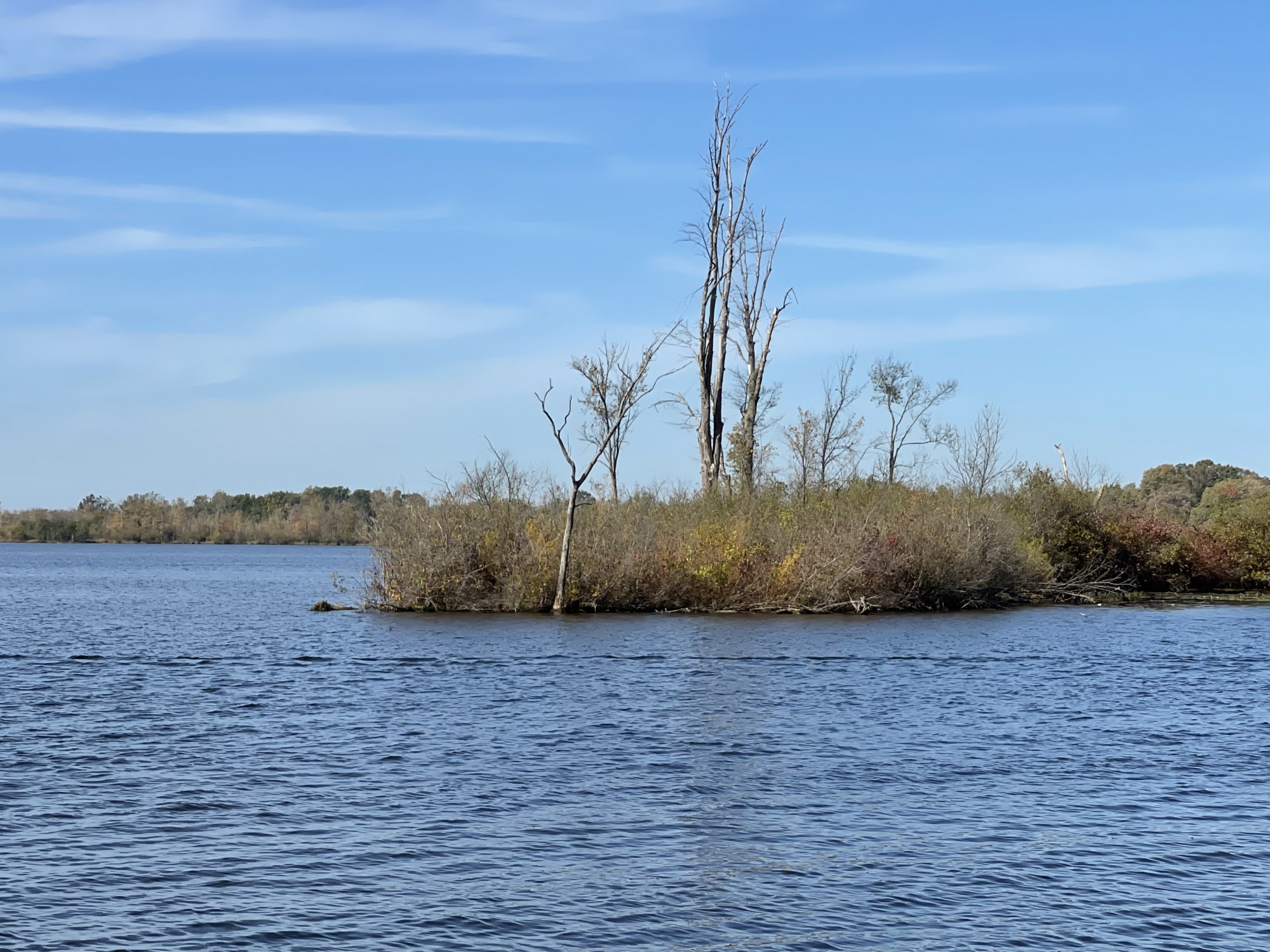 Lake Ponemah homes Fenton MI