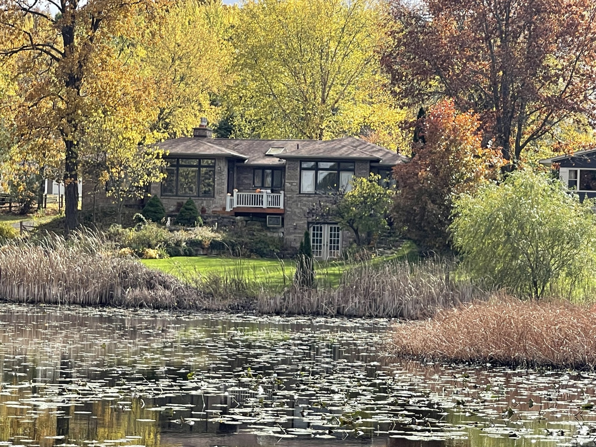 Earl Lake homes Livingston County