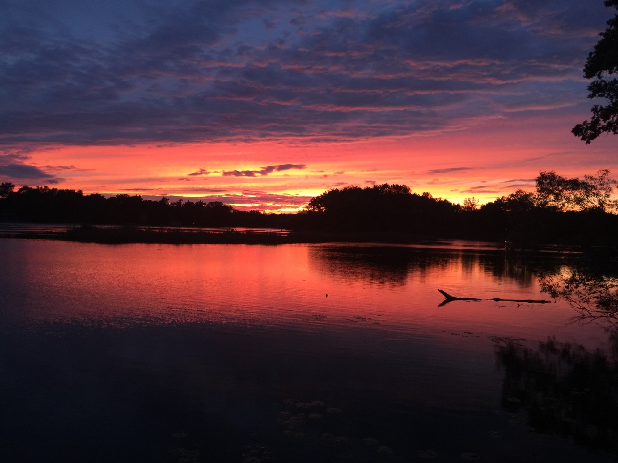 Heather Lake Orion MI