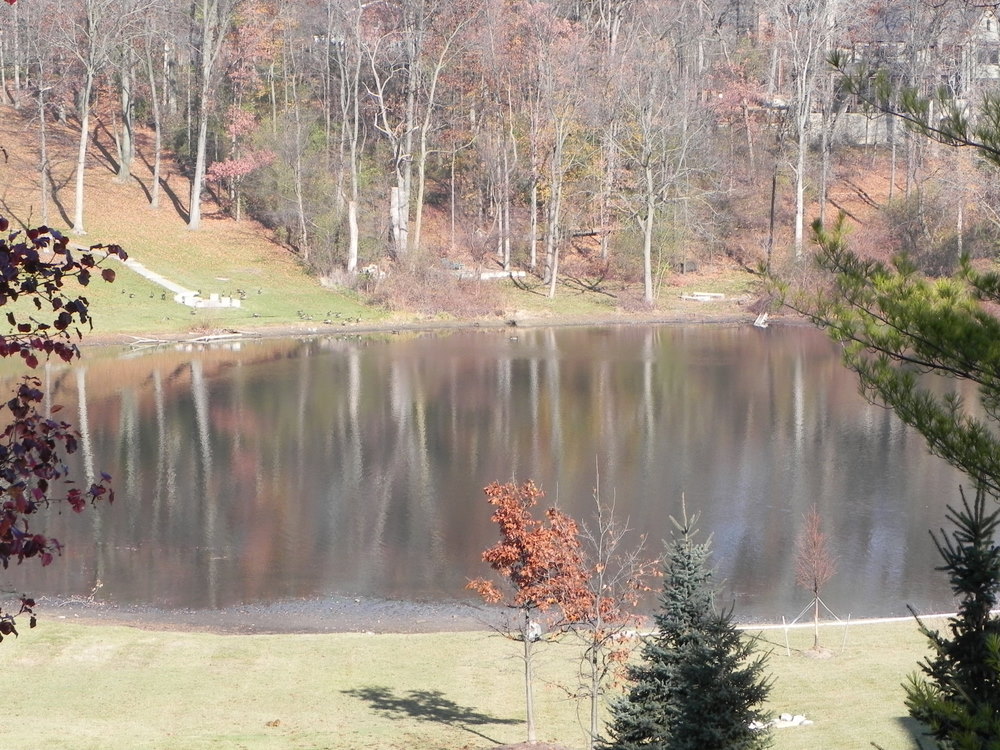 Mirror Lake West Bloomfield Mirror Lake West Bloomfield