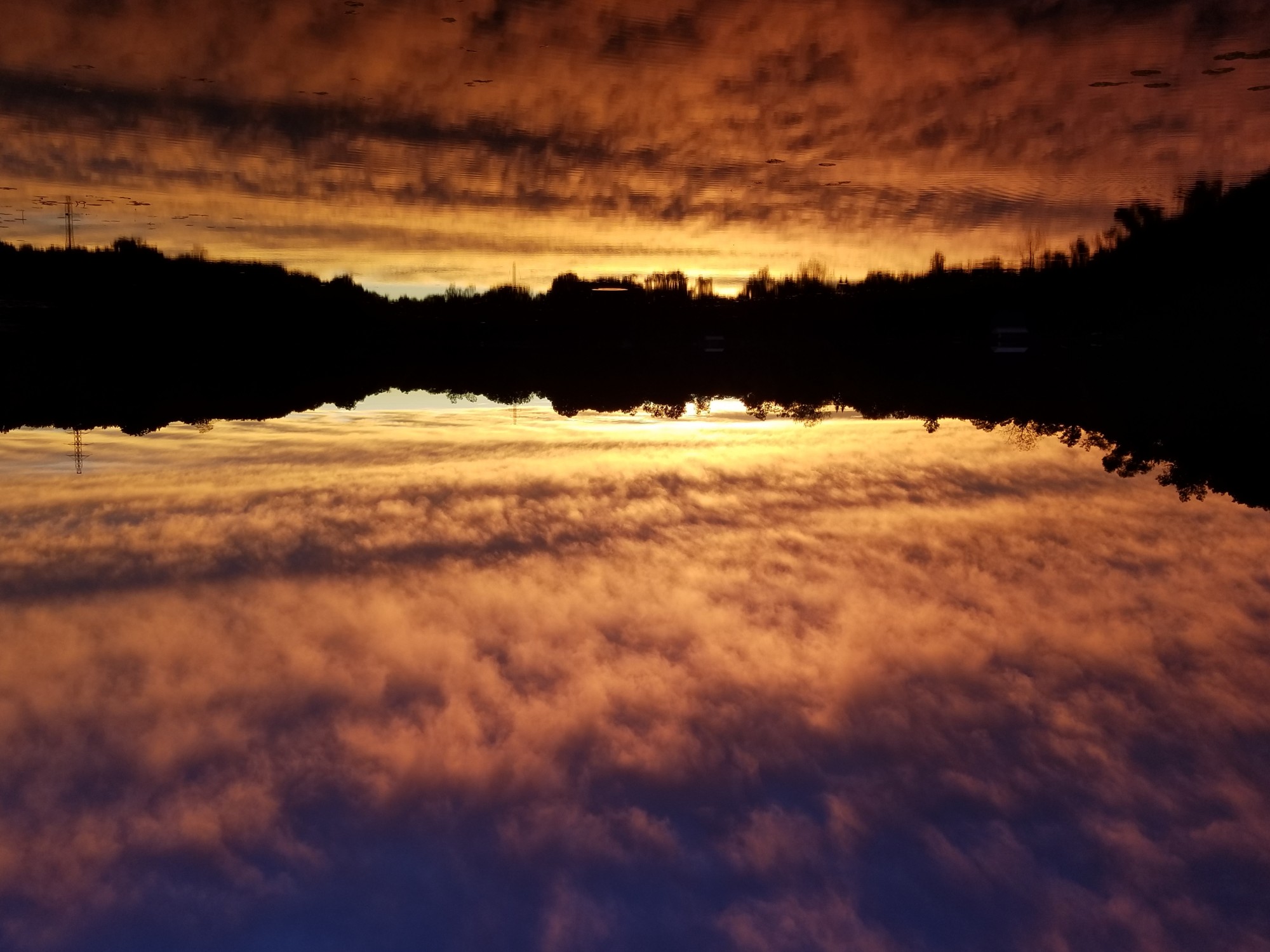 Sunset on Woodpecker Lake West Bloomfield
